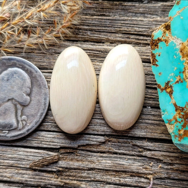 WMT Oval Earring Pair Cabochon