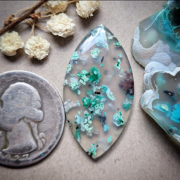 Sugar Water Flower Agate Marquise Cabochon