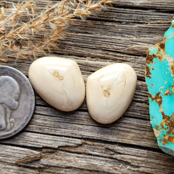 WMT Drop Earring Pair Cabochon