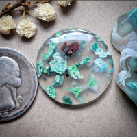 Sugar Water Flower Agate Round Cabochon