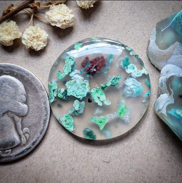 Sugar Water Flower Agate Round Cabochon