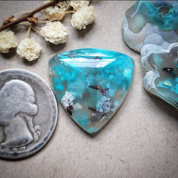 Sugar Water Flower Agate Trillion Cabochon