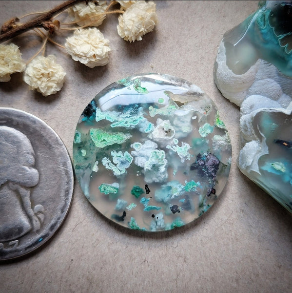 Sugar Water Flower Agate Round Cabochon
