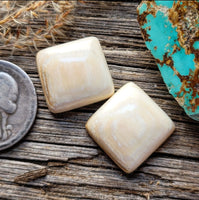 WMT Cushion Cut Earring Pair Cabochon