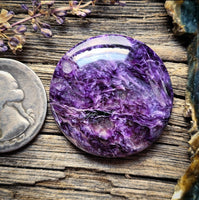 Charoite Large Round Cabochon