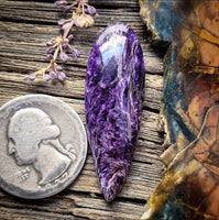 Charoite Talon Cabochon