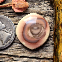Royal Imperial Jasper Freeform Cabochon
