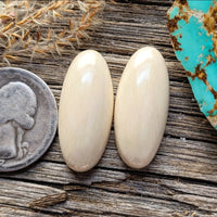 WMT Oval Earring Pair Cabochon