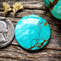 Quingu Polychrome Turquoise Large Round Cabochon