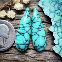 Desert Oasis Spiderweb Talon Earring Pair Cabochon