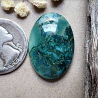 Desert Oasis Spiderweb Talon Earring Pair Cabochon
