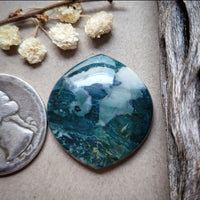 Hava Ridge Jasper Freeform Cabochon