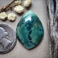 Hava Ridge Jasper Drop Cabochon