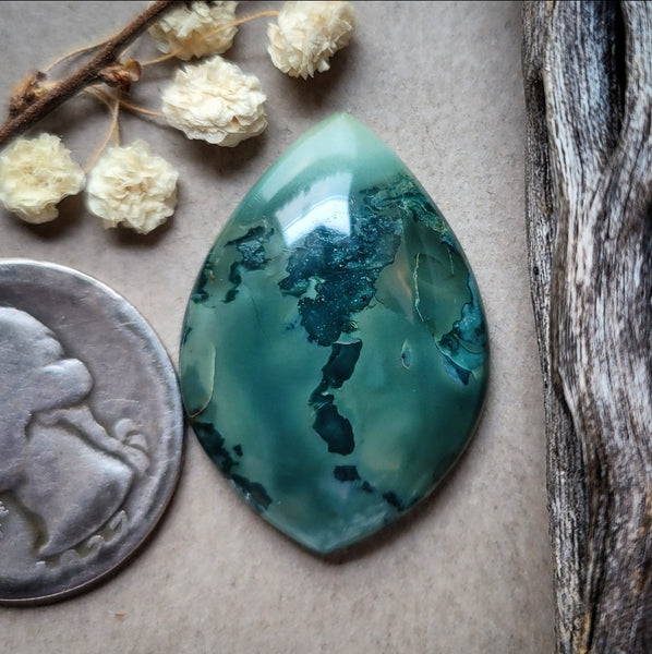 Hava Ridge Jasper Drop Cabochon