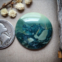 Hava Ridge Jasper Round Cabochon