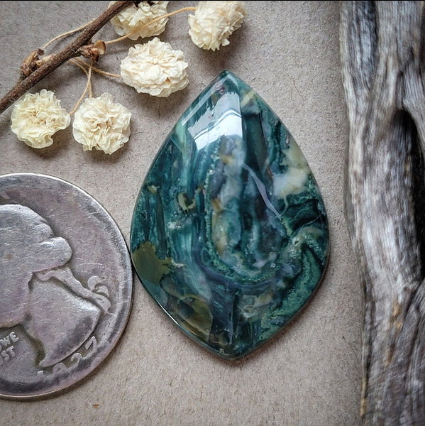 Hava Ridge Jasper Drop Cabochon