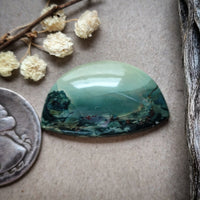 Hava Ridge Jasper Half Moon Cabochon