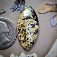 Natural Polychrome White River Marquise Cabochon