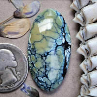 Natural Polychrome White River Long Oval Cabochon