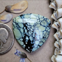 Natural Polychrome White River Large Trillion Cabochon