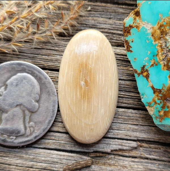 WMT Oval Cabochon