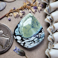 Natural Polychrome White River Modern Drop Cabochon