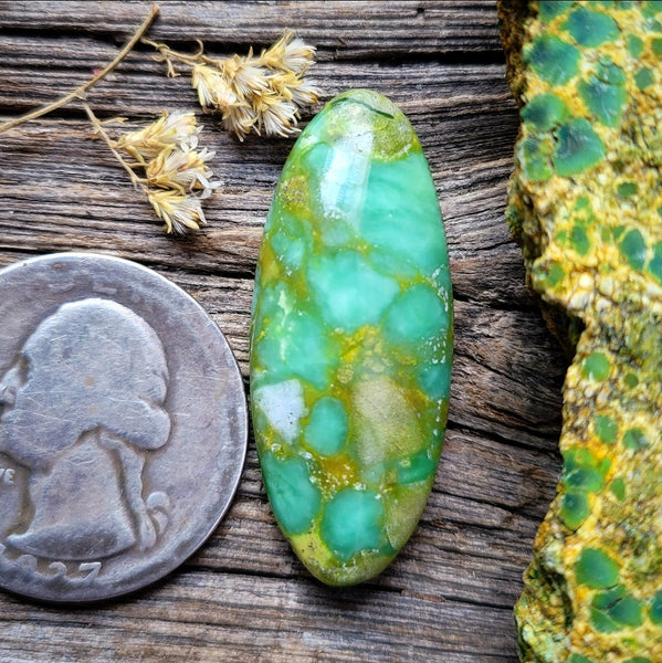 Paisley Dreams Oval Cabochon