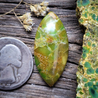 Paisley Dreams Marquise Cabochon