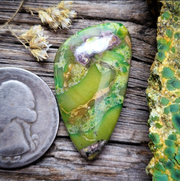 Paisley Dreams Freeform Cabochon
