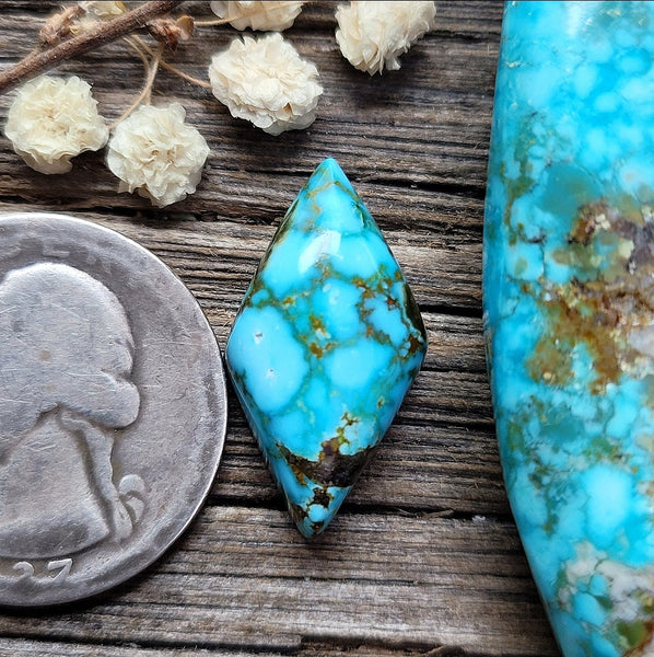 Kingman Turquoise Mountain Webbed Diamond Cabochon