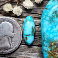 Kingman Turquoise Mountain Small Oval Cabochon