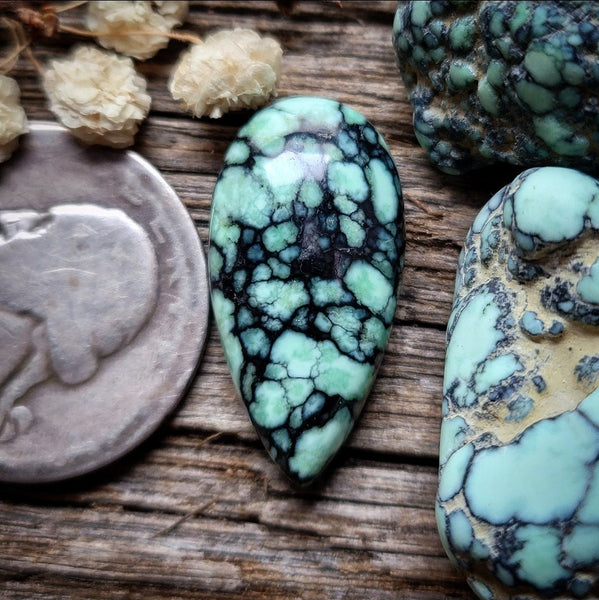 Angel Wing Variscite Drop Cabochon