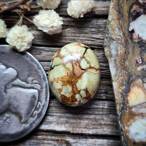 7 Dwarfs Oval Cabochon