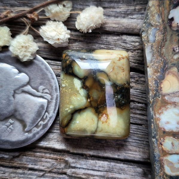 7 Dwarfs Cushion Cut Cabochon