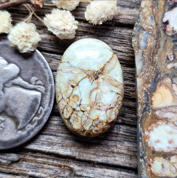 7 Dwarfs Oval Cabochon
