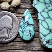 Polychrome Hubei Freeform Earring Pair Cabochon