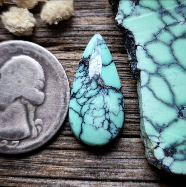 Polychrome Hubei Freeform Earring Pair Cabochon