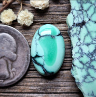 Natural Desert Oasis Pit #2 Tiny Trillion Cabochon
