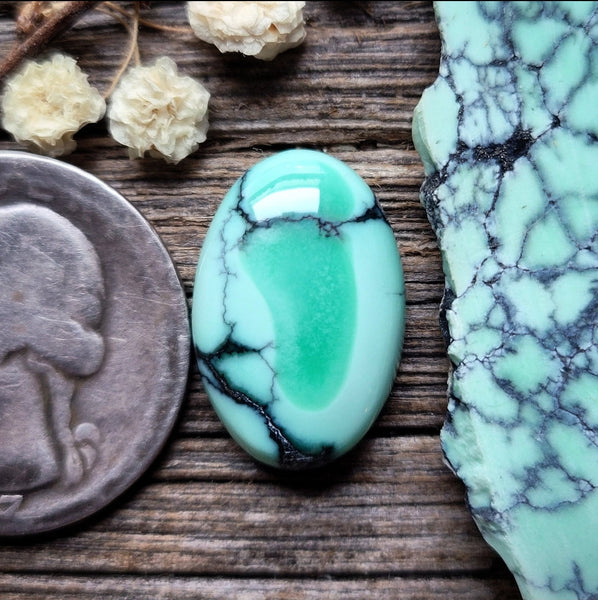 Natural Desert Oasis Pit #2 Tiny Trillion Cabochon