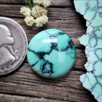 Natural Desert Oasis Pit #2 Freeform Cabochon