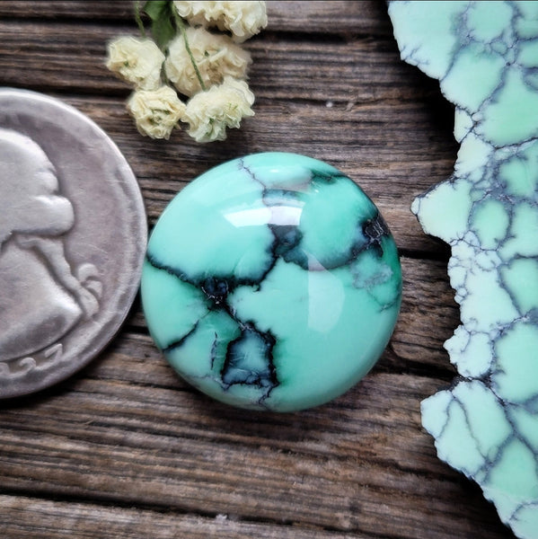 Natural Desert Oasis Pit #2 Freeform Cabochon