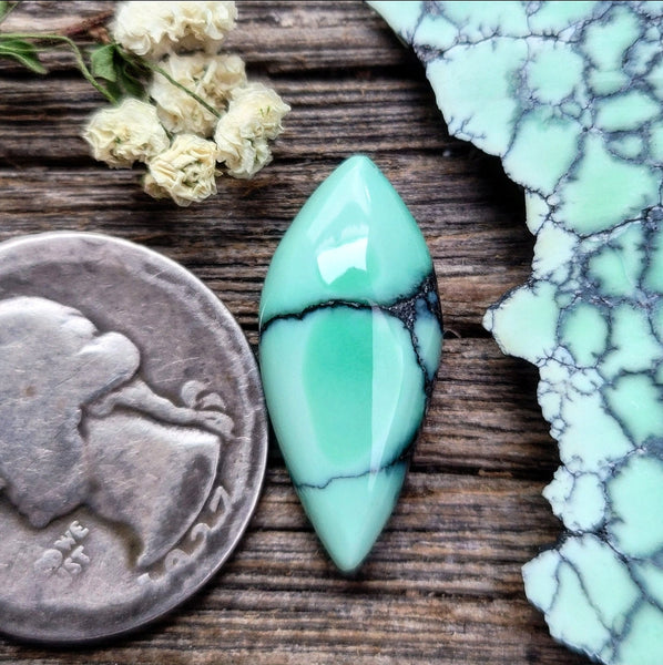 Natural Desert Oasis Pit #2 Trillion Cabochon