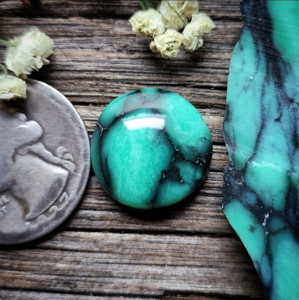 Natural Desert Oasis Pit #2 Triangle Cabochon