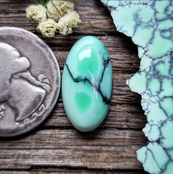 Natural Desert Oasis Pit #2 Round Cabochon