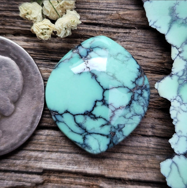 Natural Desert Oasis Pit #2 Talon Cabochon