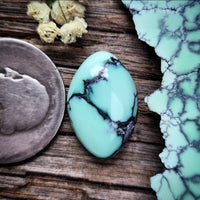 Natural Desert Oasis Pit #2 Bar Cabochon