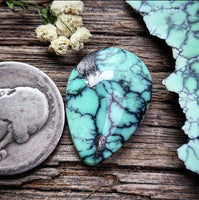 Natural Desert Oasis Pit #2 Marquise Cabochon