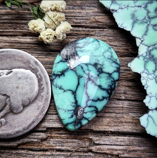 Natural Desert Oasis Pit #2 Marquise Cabochon