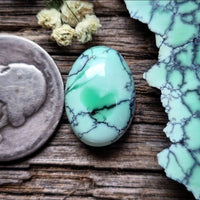 Natural Desert Oasis Pit #2 Drop Cabochon