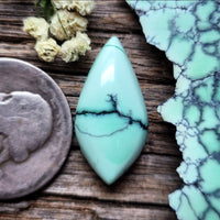 Natural Desert Oasis Pit #2 Oval Cabochon